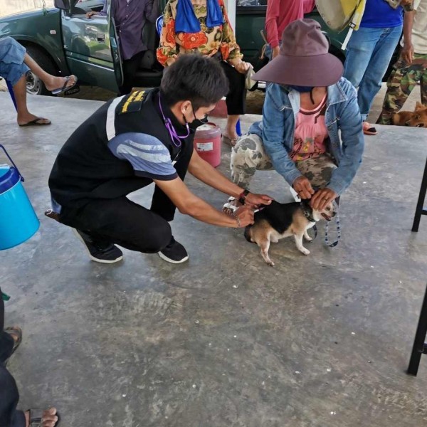การฉีดวัคซีนป้องกันโรคพิษสุนัขบ้า ในเขตเทศบาลตำบลสบปราบ Image 2