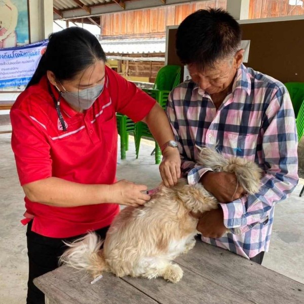 การฉีดวัคซีนป้องกันโรคพิษสุนัขบ้า ในเขตเทศบาลตำบลสบปราบ Image 9