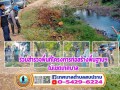 ร่วมสำรวจพื้นที่โครงการก่อสร้างพื้นฐานฯในเขตเทศบาล Image 1