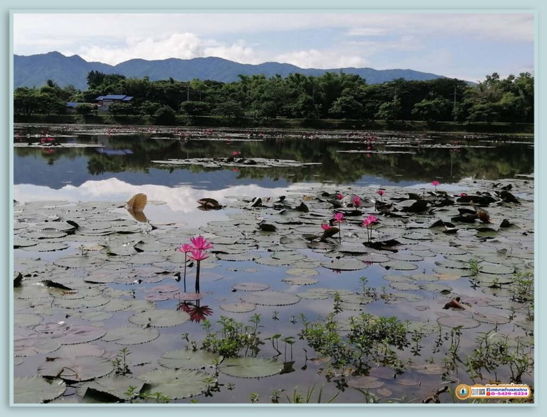 ขอแนะนำสถานที่ท่องเที่ยวสวนสาธารณะโทกแม่วังฯ Image 5