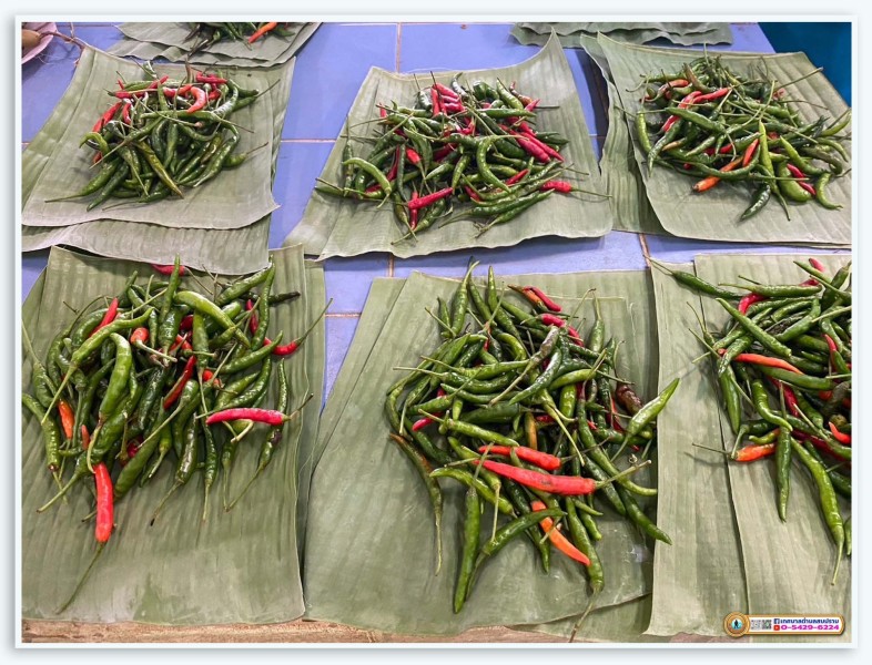ดำเนินงานของตลาดสดเทศบาลตำบลสบปราบ ติดตาม ... Image 12