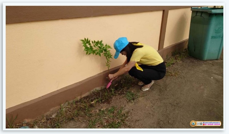โครงการปลูกต้นไม้เฉลิมพระเกียรติ ประจำปี 2566 Image 4