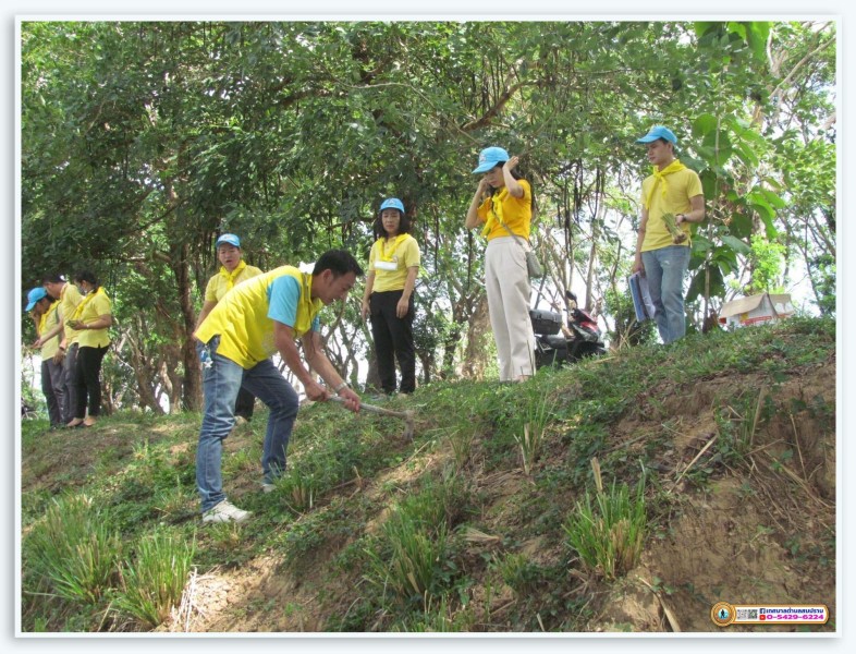 โครงการปลูกหญ้าแฝกป้องกันตลิ่งพัง ประจำปี 2566 Image 3