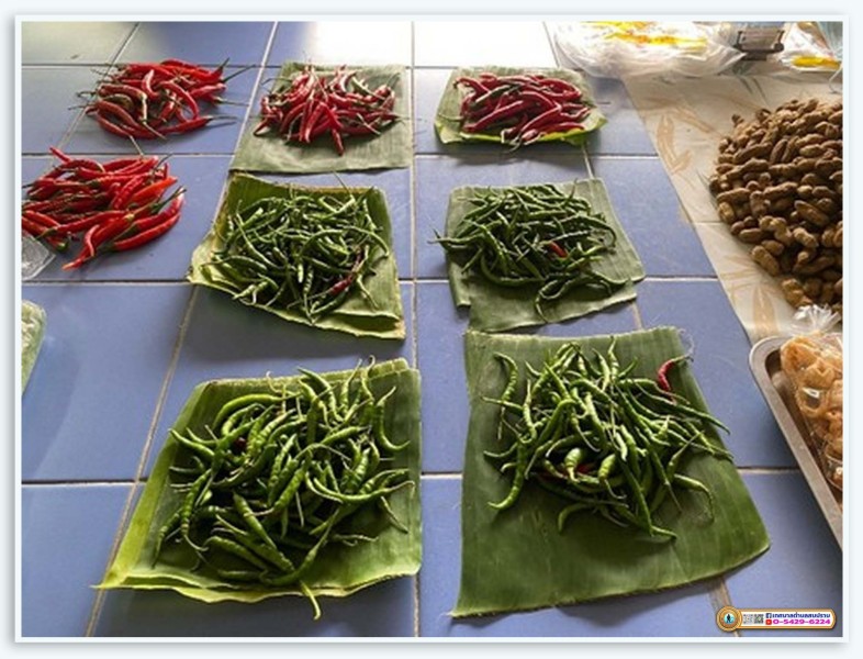 โครงการลดพลาสติก เลิกใช้โฟม ใช้ถุงผ้า ตะกร้าไปตลาด ... Image 4