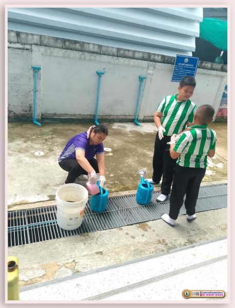 โครงการเยาวชนรักษ์สิ่งแวดล้อม ประจำปีงบประมาณ 2567 Image 14