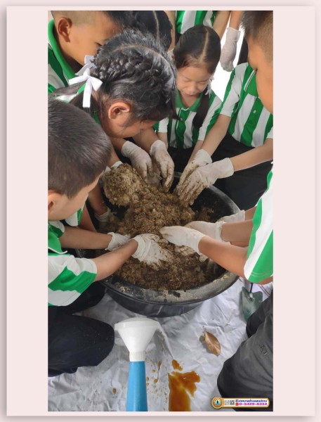 โครงการเยาวชนรักษ์สิ่งแวดล้อม ประจำปีงบประมาณ 2567 Image 21