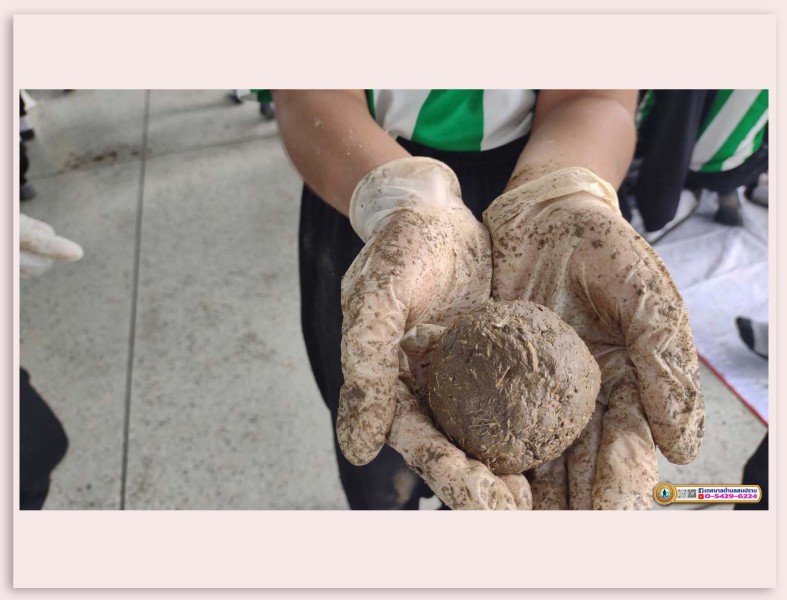 โครงการเยาวชนรักษ์สิ่งแวดล้อม ประจำปีงบประมาณ 2567 Image 24