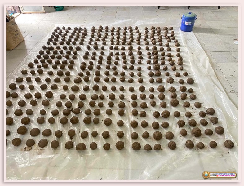 โครงการเยาวชนรักษ์สิ่งแวดล้อม ประจำปีงบประมาณ 2567 Image 7