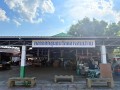 กิจกรรมขอเจิญแวะมาแอ่วกาดม่วนใจ อาหารปลอดภัย ... Image 1